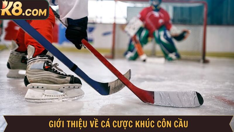 Đôi nét về trò chơi cá cược thể thao độc đáo tại K8