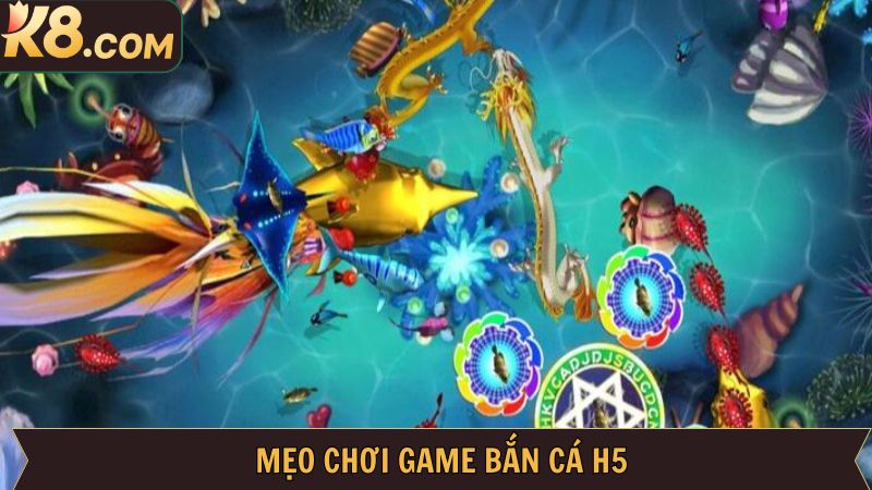 Những chiến thuật để chinh phục và ẵm trọn phần thắng 