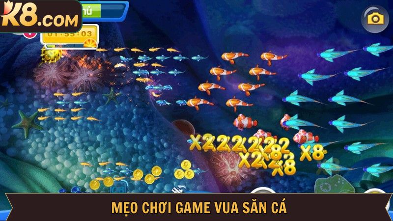 Bí quyết chinh phục săn cá thắng đậm chuẩn cao thủ